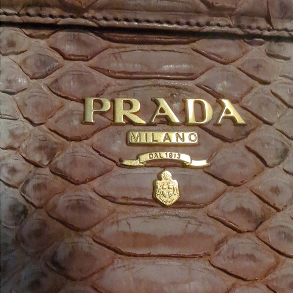 Prada Tan and Brown Snake Print Satchel - Picture 3 of 12